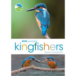 ISBN RSPB Spotlight Kingfishers book English Paperback 128 pages