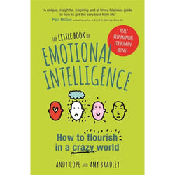 Hachette UK The Little of Emotional Intelligence book English Paperback 192 pages
