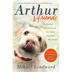 Hachette UK Arthur and Friends book English Paperback 224 pages