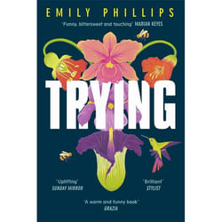 Hachette UK Trying book English Paperback 384 pages