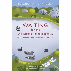 Hachette UK Waiting for the Albino Dunnock, English, Paperback, 368 pages