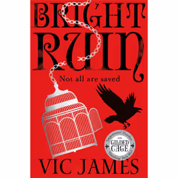 ISBN Bright Ruin, English, Paperback, 496 pages