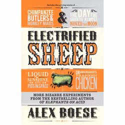 ISBN Electrified Sheep, English, Paperback, 352 pages