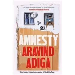 ISBN Amnesty, General novel, English, 352 pages
