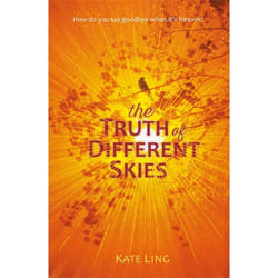Hachette UK The Truth of Different Skies book English Paperback 368 pages