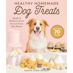 ISBN Healthy Homemade Dog Treats book Cooking English Paperback 176 pages