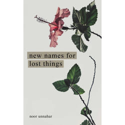 ISBN New Names for Lost Things