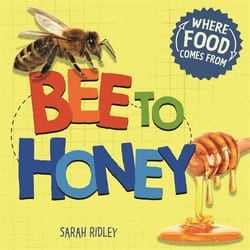 Hachette UK Bee to Honey book English Hardcover 24 pages