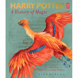 ISBN Harry Potter - A History of Magic (The Book of the Exhibition), English, Paperback, 256 pages