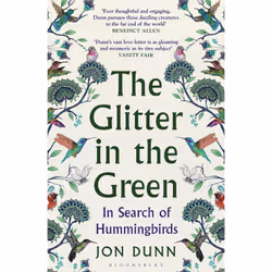 ISBN The Glitter in the Green, English, Paperback, 336 pages