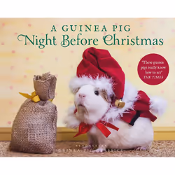 ISBN A Guinea Pig Night Before Christmas, English, Hardcover, 56 pages