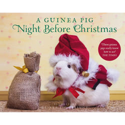 ISBN A Guinea Pig Night Before Christmas book English Hardcover 56 pages