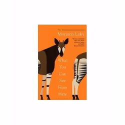 ISBN What You Can See From Here, English, Paperback, 336 pages