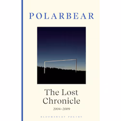ISBN The Lost Chronicle, English, Hardcover, 208 pages
