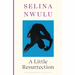 ISBN A Little Resurrection, English, Paperback, 64 pages