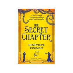 ISBN Secret Chapter book Fantasy English Paperback 325 pages