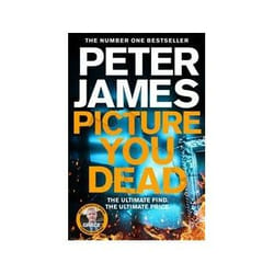 ISBN Picture You Dead book Crime fiction English 400 pages