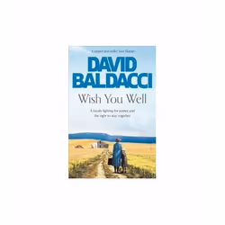 ISBN Wish You Well, English, Paperback, 412 pages