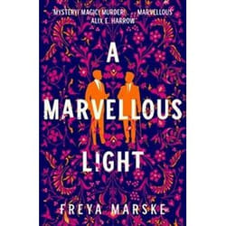 ISBN Marvellous Light book Fantasy English Hardcover 375 pages