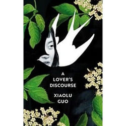 ISBN Lover's Discourse book General novel English Paperback 208 pages