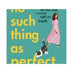 ISBN No Such Thing as Perfect book General novel English Hardcover 400 pages