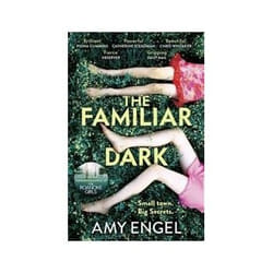 ISBN Familiar Dark book Crime fiction English 256 pages