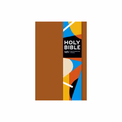 NIV Pocket Brown Soft-tone Bible with Clasp new edition by Version & New International