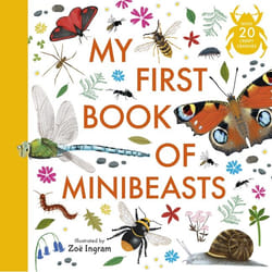 ISBN My First of Minibeasts book Hardcover 48 pages