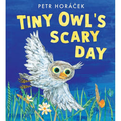ISBN Tiny Owl's Scary Day book Hardcover 32 pages