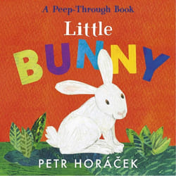 ISBN Little Bunny book 16 pages