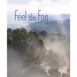 ISBN Feel the Fog, Science & nature, English, Hardcover, 40 pages
