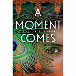 ISBN A Moment Comes, Literary fiction, English, Paperback, 288 pages