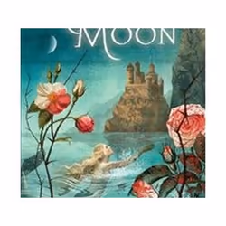ISBN Mermaid Moon, Children & teenagers, English, Hardcover, 496 pages