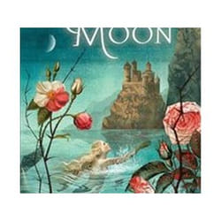 ISBN Mermaid Moon book Children & teenagers English Hardcover 496 pages