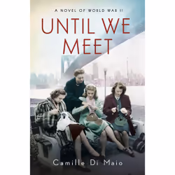 ISBN Until We Meet, Fiction, English, Paperback, 384 pages