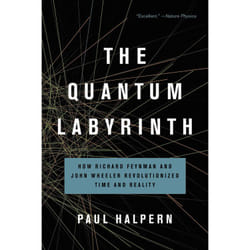 ISBN The Quantum Labyrinth book Science & nature English Paperback 336 pages