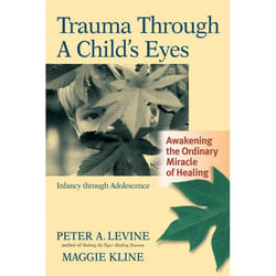 ISBN Trauma Through a Child’s Eyes