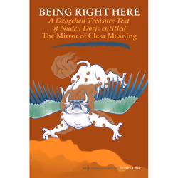 ISBN Being Right Here, Paperback, 160 pages