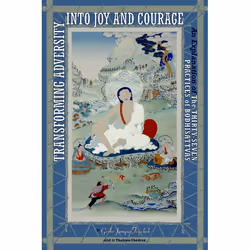 ISBN Transforming Adversity into Joy and Courage, Paperback, 312 pages