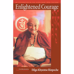 ISBN Enlightened Courage, Paperback, 144 pages