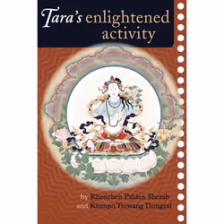 ISBN Tara’s Enlightened Activity, Paperback, 248 pages