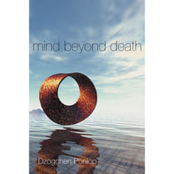 ISBN Mind Beyond Death