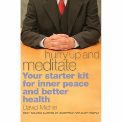 ISBN Hurry Up and Meditate, Paperback, 192 pages