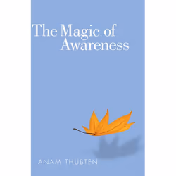 ISBN The Magic of Awareness, Paperback, 160 pages