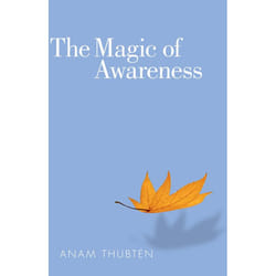 ISBN The Magic of Awareness