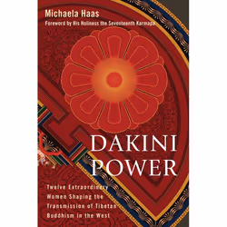 ISBN Dakini Power, Paperback, 344 pages