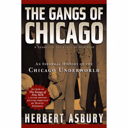 ISBN The Gangs of Chicago, History, English, Paperback, 448 pages