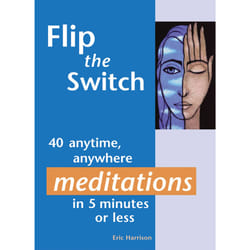 ISBN Flip the Switch book Educational English Paperback 160 pages