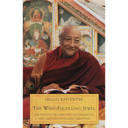 ISBN The Wish-Fulfilling Jewel