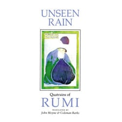 ISBN Unseen Rain